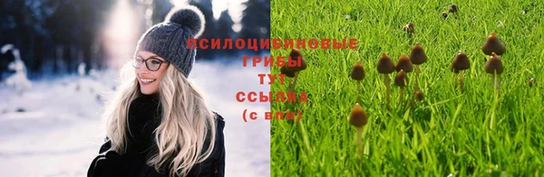 МДПВ Верхний Тагил