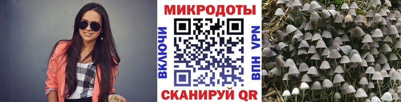 даркнет сайт  Кингисепп  Галлюциногенные грибы Cubensis 